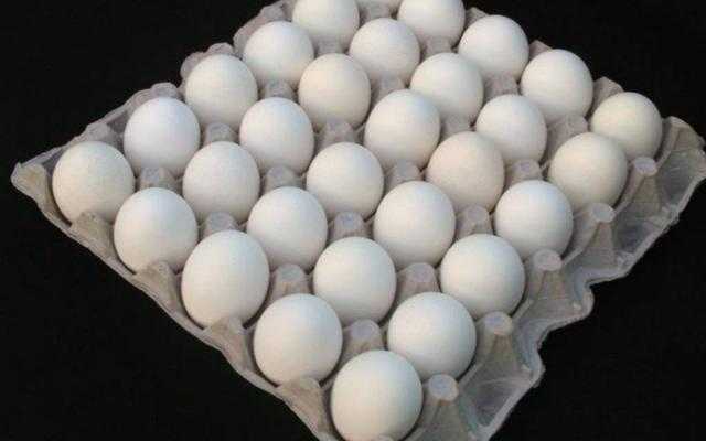 «الزراعة» تطرح البيض في جميع منافذها بـ45 جنيهًا للكرتونة